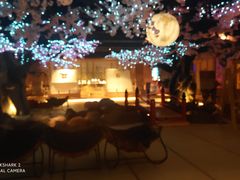 -蓝鲸湾汤泉(包河店)