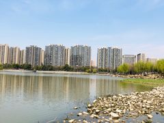 -南翔镇银翔湖公园