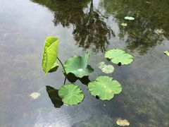 iphone_upload_pic-横山寺