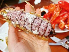 -强记龙虾钳(定安里店)