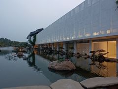 -罗红摄影艺术馆