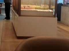 -奈雪的茶(东莞汇一城店)
