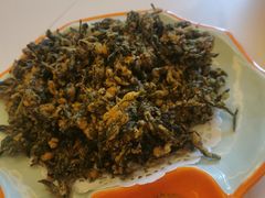 -向外鱼乐·土菜·虹鳟鱼