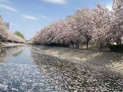 -海棠花溪(元大都城垣遗址公园)