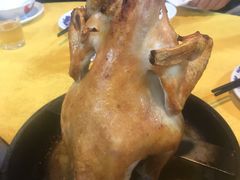 招牌吊烧鸡项-洞密园美食城·二十二年老店(富华路店)