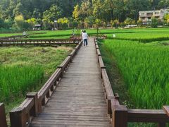 -高荡千年布依古寨旅游景区