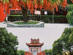 -吼山森林公园