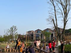 -铁山坪森林公园