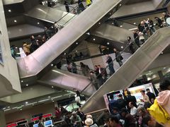 -重庆医科大学附属第一医院(本部)