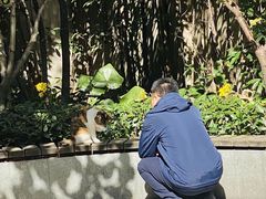 -巴金故居