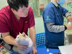 -瑞派申生动物医院·24H夜诊·国际动物医疗中心·骨外科(吴中路店)