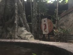 -龙达温泉生态城