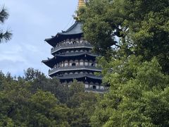 -绿茶餐厅(龙井船宴· 品牌总店)