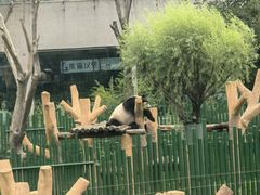 -沈阳森林动物园