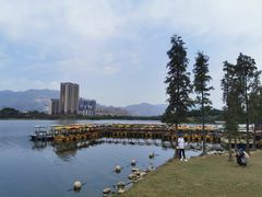-飞来湖湿地公园