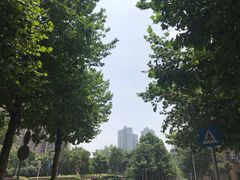 -龙头寺公园