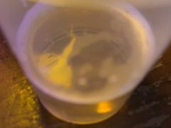 -Ton Ton吨吨小酒馆Live(观前街店)