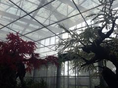 iphone_upload_pic-天目湖山水园