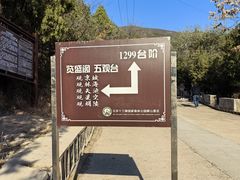 -北京十三陵国家森林公园蟒山景区