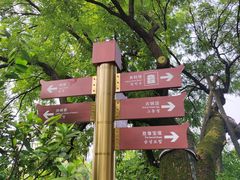 -黄鹤楼