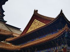 -颐和园