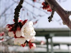 -石榴庄公园