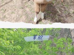 -沈阳森林动物园