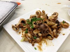 沙姜炒八爪鱼-新享乐海鲜(翠华路店)