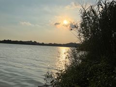 -鹤之洲湿地公园