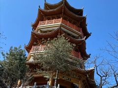 -塔云山
