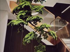 -正清和·推拿养生(二七广场店)