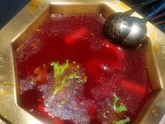 -蜀九香火锅(彩虹店)