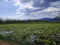 -野鸭湖国家湿地公园