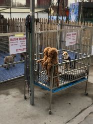 -萌宠亲子动物乐园(槐房万达店)