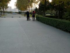 -西安青龙寺遗址景区