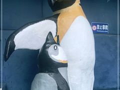 -太平洋海底世界