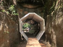 -武夷山风景名胜区-玉女峰