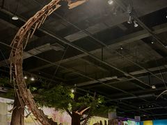 -国家自然博物馆