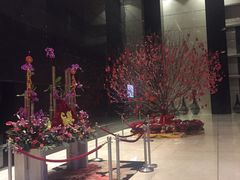 -深圳皇庭V酒店
