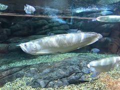 -绍兴梦享海洋公园