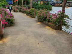 -观澜山水田园