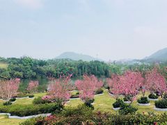 -东部华侨城