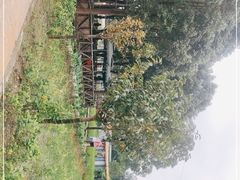 -洪湖家庭农场·团建·露营·会议
