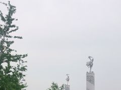 -丁香湖公园