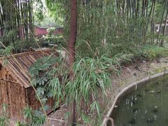 -望江楼公园