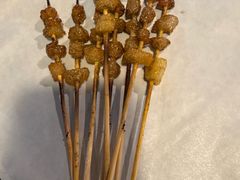 -曾记大腰子烧烤(苗栗路总店)
