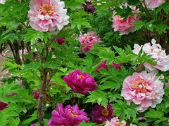 -迎泽公园