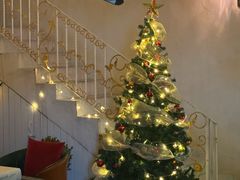 -弦月窗LUNETTE BY AMANDA(复兴路店)