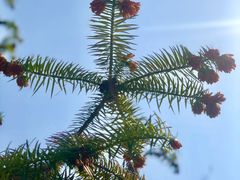 -白塘生态植物园