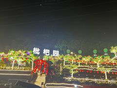 -枇杷园食为鲜火锅(南山店)